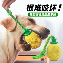 Dog toy ball rubber bite to grind teeth leakage to smooth dog artifact large dog gold haira Brador supplies