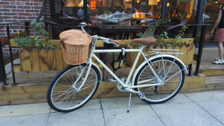 Panier pour vélo en vigne - Ref 2257244 Image 62