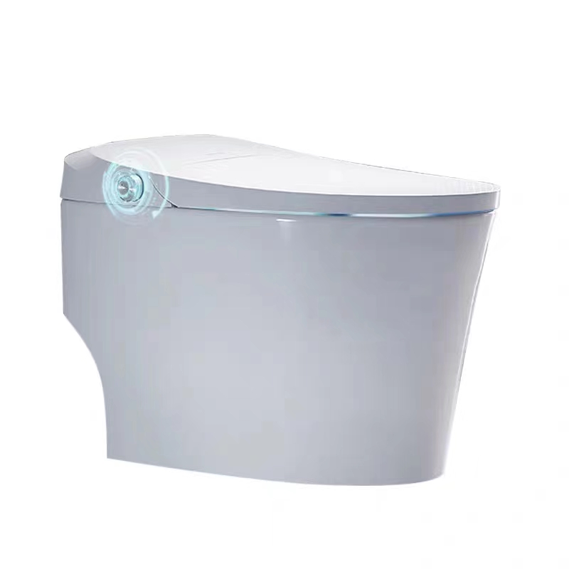 Wrigley bathroom smart toilet home induction flushing with water tank warm air drying siphon toilet AKE1334