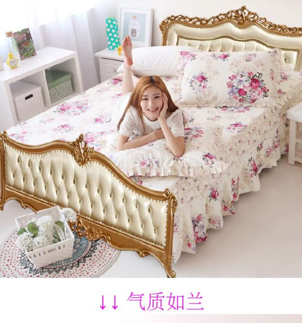Bộ chăn ga gối cotton châu Âu đơn mảnh vách ngăn giường đơn đặt đôi giường bông trải giường 1,51,8 mét - Váy Petti