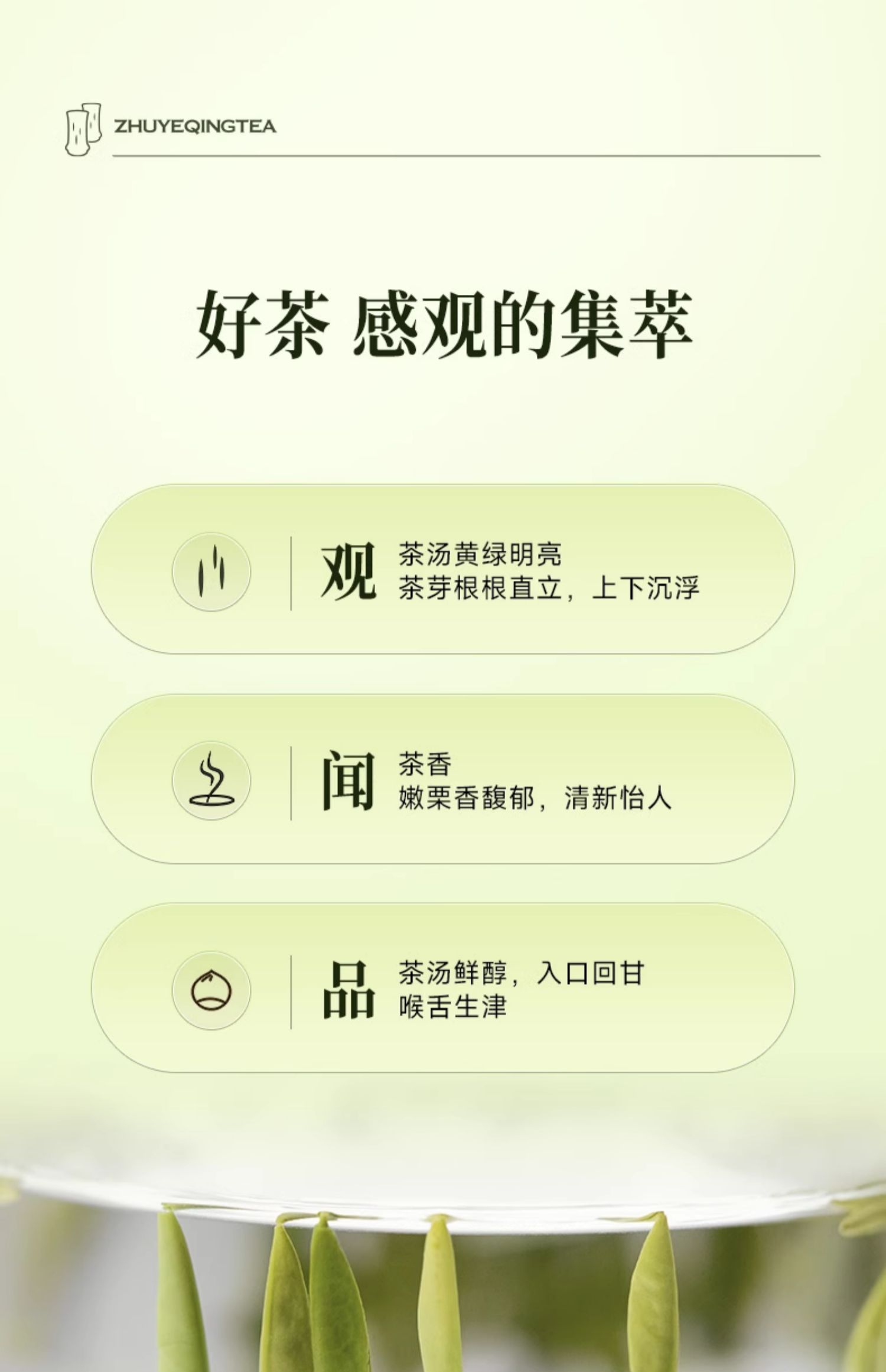 【中國直郵】竹葉青茶葉 25年峨眉高山綠茶 明前芽心特級 60g/盒