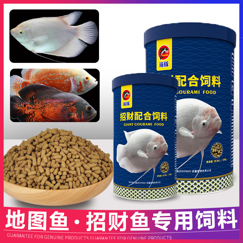 Dolphins recruit fish feed fish feed Fish food anti-disease map Fish Fish tropical fish fish fish food