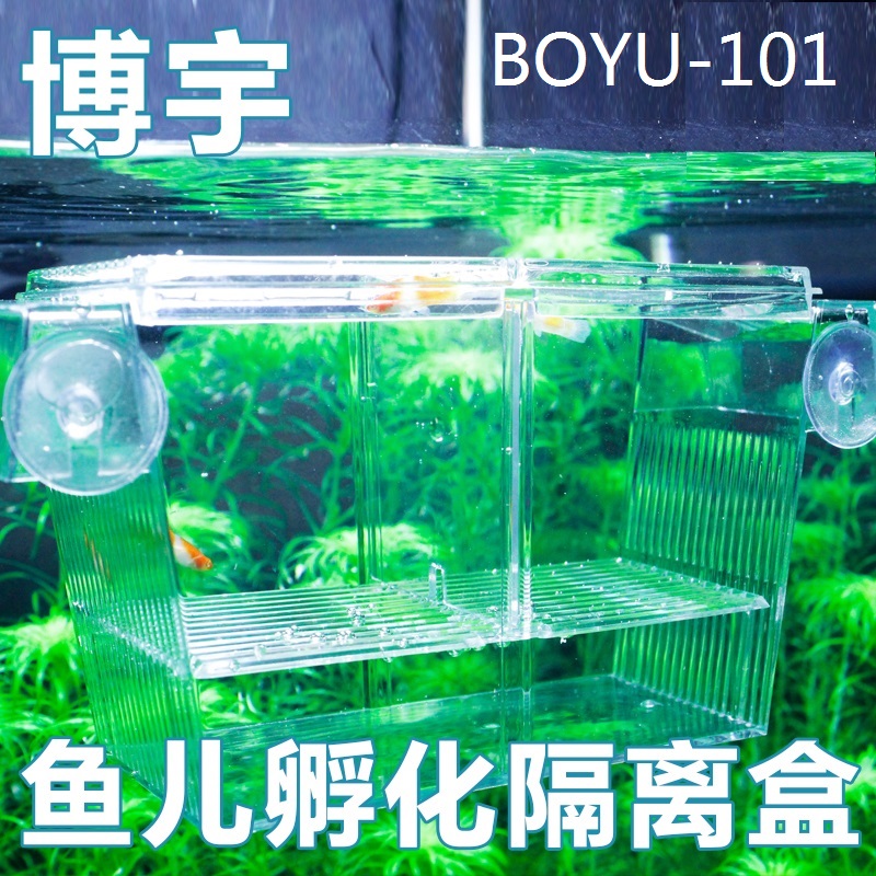Boyu guppy breeding box hatching box fish spawning isolation box fish tank breeding box fighting fish box fish fry isolation box