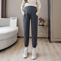 Thick warm pants pregnant women pants fashion spring and autumn new thin ankle-length pants wear straight loose leggings
