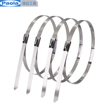 Paula 304 stainless steel cable tie corrosion resistance high and low temperature railway telecommunications grid metal nameplate machinery 5612