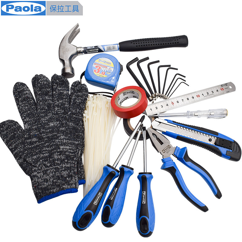 Paula 20 pieces of kit repair tool suit Inner hexagonal electrotest pen screwdriver cross 1-8205