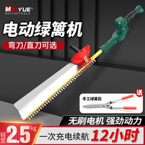 Electric green hedge machine rechargeable lithium electric coarse branch repair branch cut garden forest green theorizer bush tea tea tree trimming machine