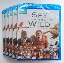 Spot genuine Blu-ray Spy in the Wild BBC Animal Wilderness Spy 2 Disc Documentary B Area English