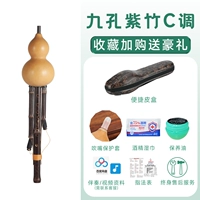 Девять -дыра родной -зой C Тон