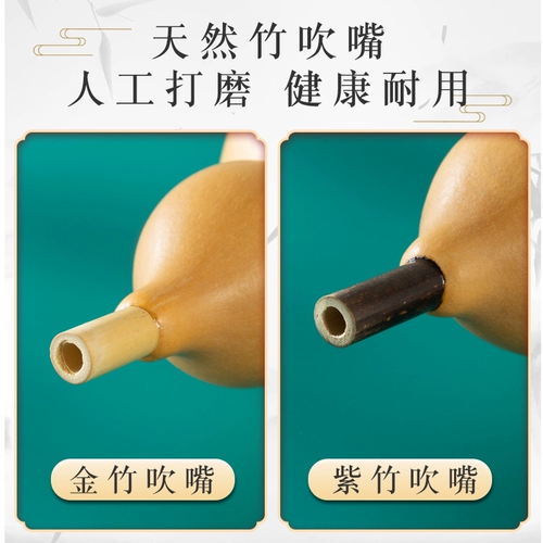 9 -Полея Джи -Конг тыква шелковой флагманский флагманский магазин шелковой флагман