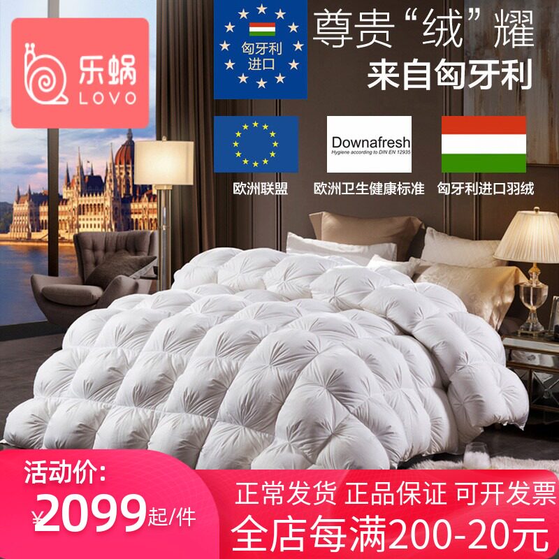 Lechlea home spinning lovo down quilted by warm quilts by the core winter by Hungarian imported goose down by the 4 generation
