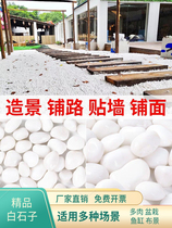 Jiangnan landscaping decoration natural rain flower stone white stone flower pot courtyard pebble potted succulent pavement