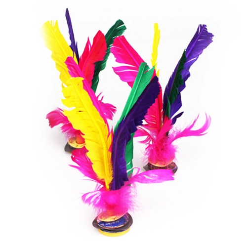 Большая фитнес -сестра -в трюк, куриные перья гусы