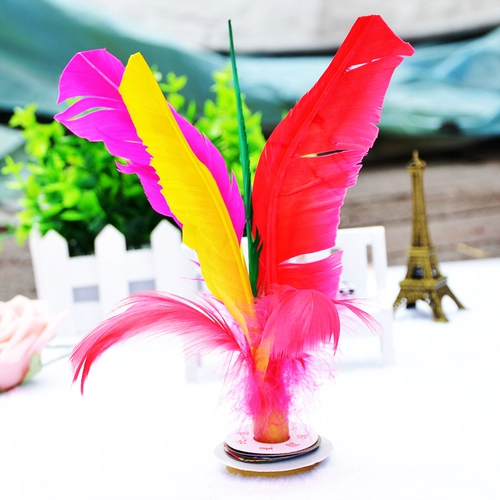 Большая фитнес -сестра -в трюк, куриные перья гусы