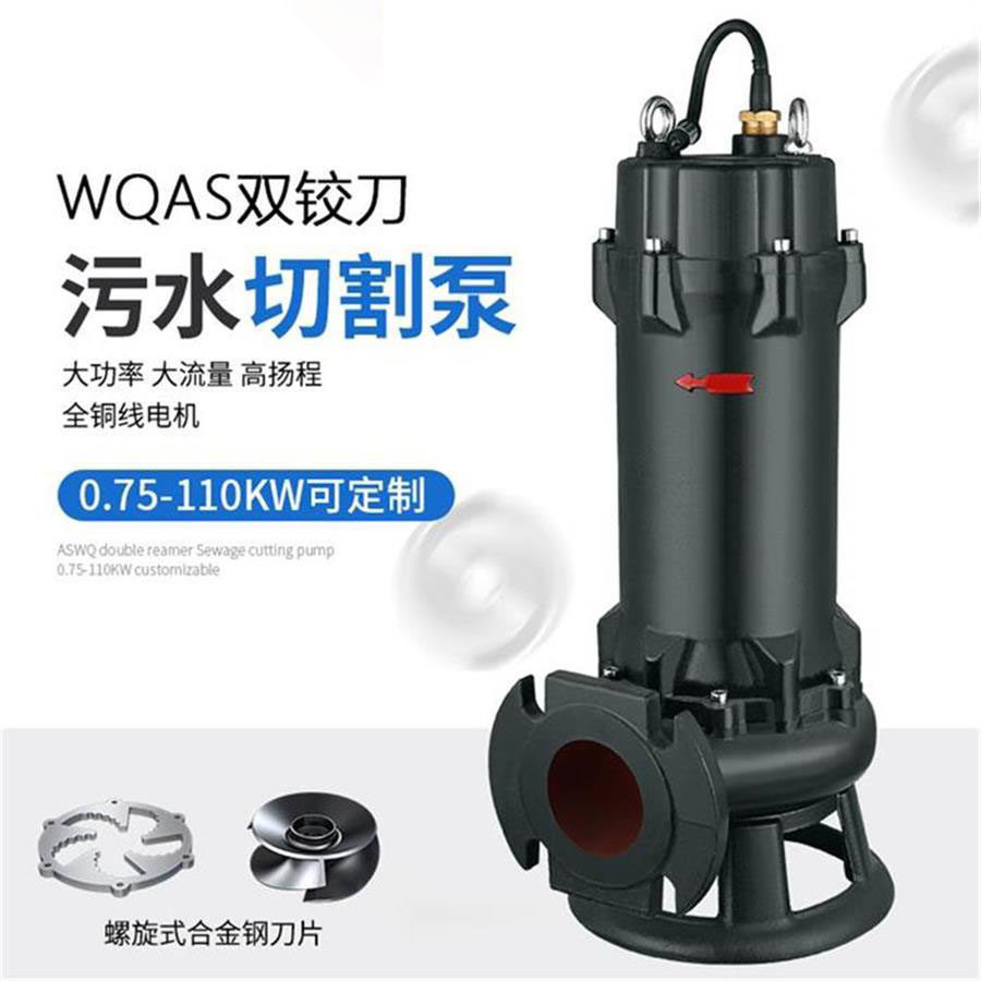 Shanghai people cutting pump with reamer sewage pump septic tank pumping mud 11kw15kw18 5kw22kw