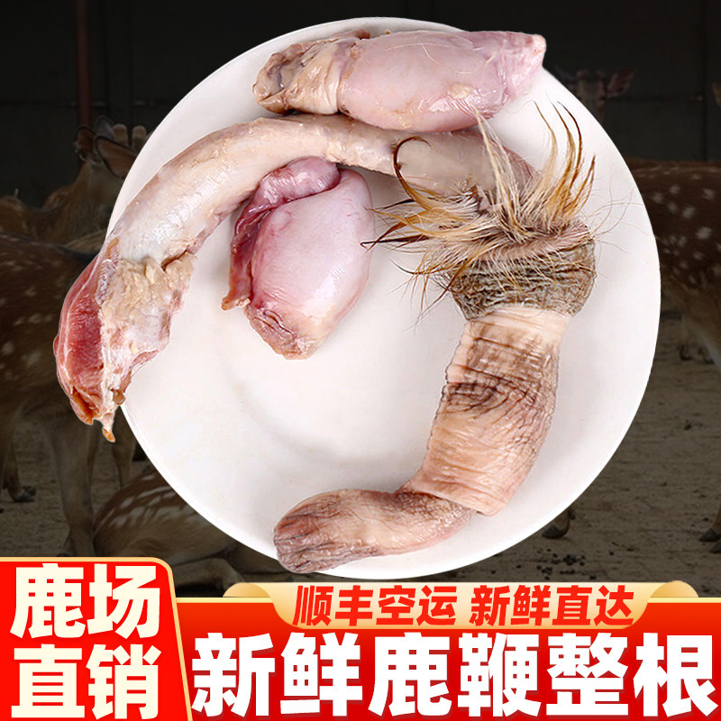 Fresh Deer Whip Dry Whole Root Whole Branch Men With Bubble Wine Material Jilin Mayflower Deer Male Paste Pill Medicinal Herbs