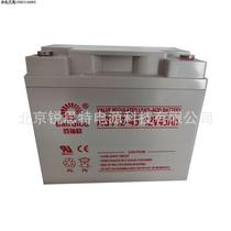 Bario battery AGV12-45 DC screen AGV smart car power sweeper power supply 12V45AH