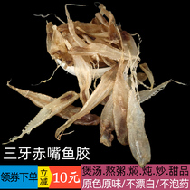 Fishing home Self-drying three teeth Fish Gum Mouth 250g Deep Sea Fish Gum Flower Glue Fish Belly maternal belly