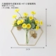 Гексагональная гинкго листья пробирки гидропоники+47 маленький zou Chrysanthemum helold