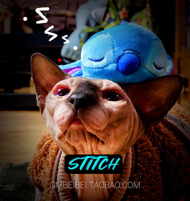 Export List Sleeping Stitch Stitch Stitch Interstellar Baby Cute Plush Toy Doll Partially Cut Labels