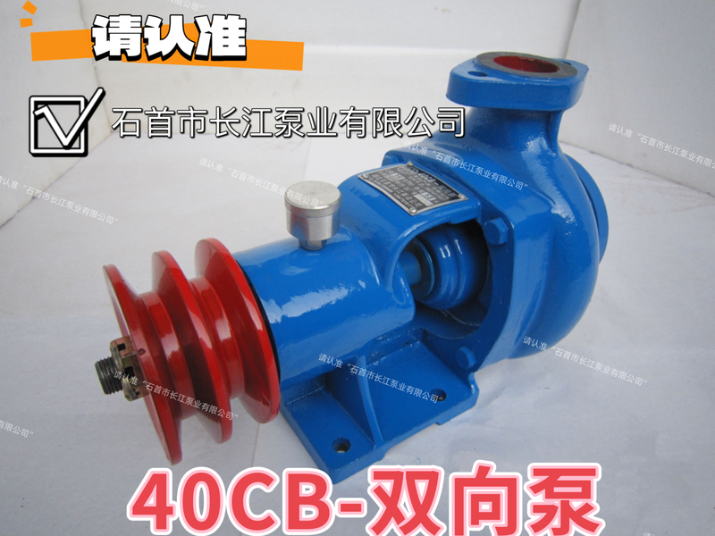 Shitou Yangtze River Runli Brand 40Cb Two-Way Pump Marine Diesel Engine Cooling Pump Weicaiyu Firewood Firewood Southwest Firewood