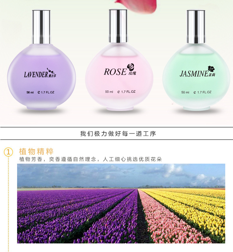 Hương hoa tươi tự nhiên hoa oải hương hoa hồng hoa nhài lily Gardenia osmanthus nước hoa nam và nữ nước hoa mẫu nhẹ nước hoa ysl