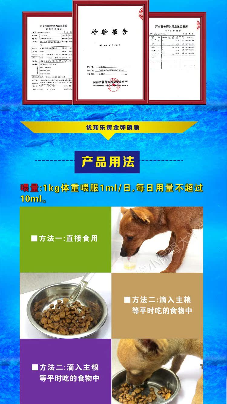 Chó lecithin teddy lông vàng làm đẹp bột thú cưng lecithin mèo con màu đen mũi sản phẩm sức khỏe tự nhiên sữa bột cho mèo