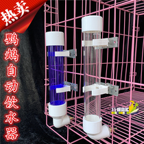 Parrot striker automatic drinker parrot drinker size water Cup hanging kettle