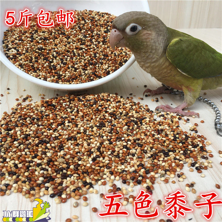 Small medium - sized parrot Peony Mega Feed Bird Feed Five - Coloured Millet Parrot Mixed Nutrition Grain Cereal 250G