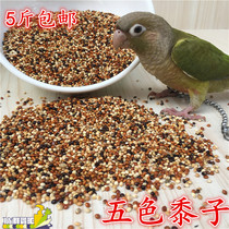 Small and medium-sized parrot peony Xuanfeng bird food feed five-color millet parrot mixed nutrition grain millet 250g