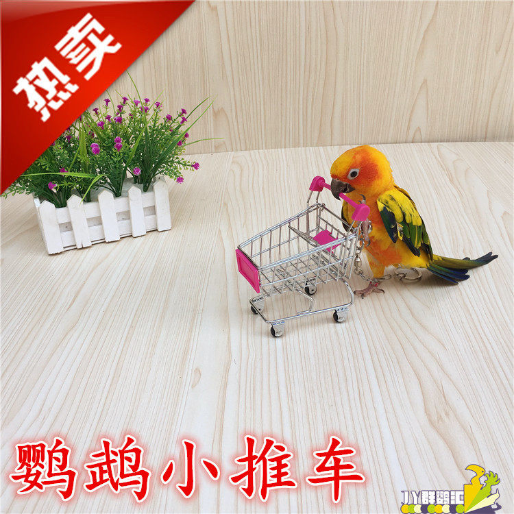 Parrot cart parrot puzzle training toy shopping cart grey parrot macaw parrot tradeoffs bird toys