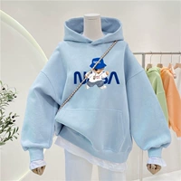 Haze Blue [весна и осень] -фото медведь