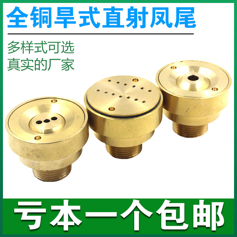 All-copper dry style straight shooting fountain nozzle square ground direct-fired three-wire nozzle DC nozzle