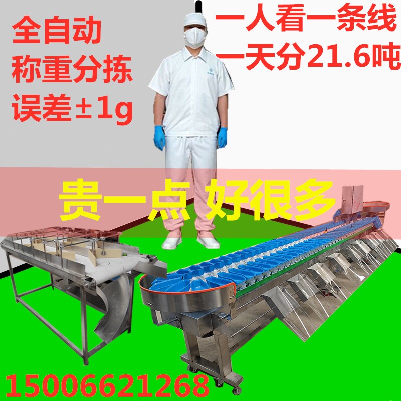 Sea Cucumber Sorting Machine Weight Machine Fish and Shrimp Automatic Selection and Weighing Oyster Sorting Equipment Oyster Sorting Machine