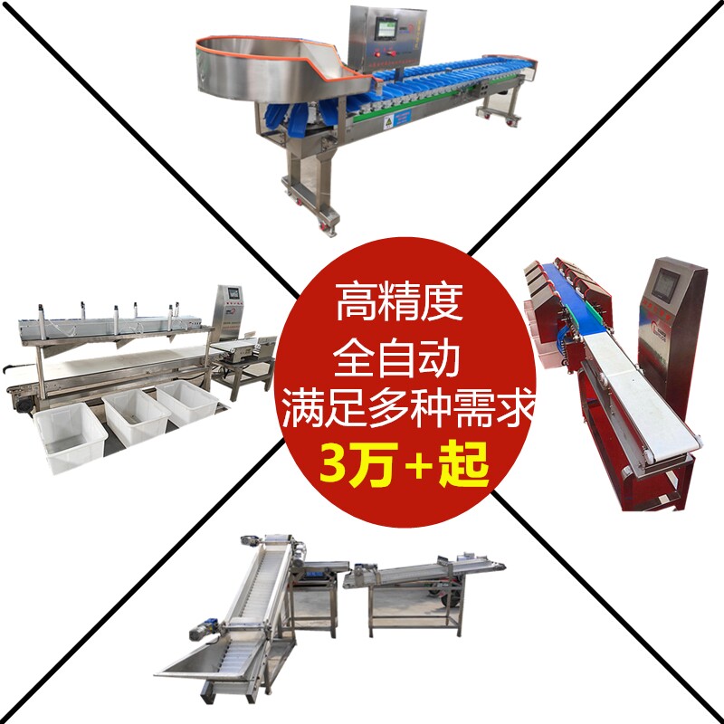 Conveyor Belt Weight Sorting Machine Sea Cucumber Specification Sorting Chicken Wings Grading Machine Oyster Turning Plate Weighing Sorting Machine