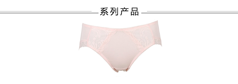 Wacoal ren thanh lịch trên mỏng và dày tập hợp ở phía hỗ trợ cao mà không có áo ngực thép WB1448 áo ngực triumph