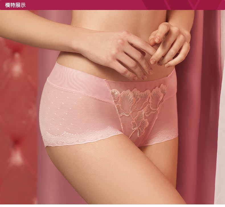 Body WG5264 - Ref 667177 Image 6