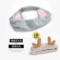 Тонкий кошачий серый серый цвета риса кофе риса