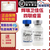 Pfizer Weijia 5 dog vaccine imported four colonies to make puppy anti - epidemic needle plague fever