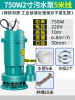 (Copper line) 750W 2 -inch sewage pump [5 meters of wires and 5 meters of water pipe]