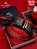 [SF] PL0547 [Counter Gift Box]