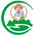 枣乡缘大荔冬枣直销店的LOGO