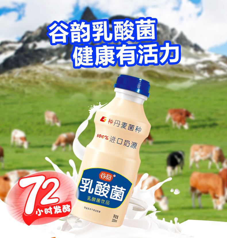 谷韵乳酸菌饮料酸味牛奶330ml×12瓶