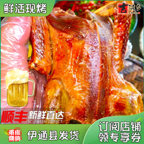 Hanging oven roasted pigeons Northeast ancient method Yitong burning pigeon cooked food milk pigeon cooked food instant vacuum