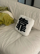 Xiaohongshu Internet Celebrity Style Cushion Pillow Spoof Simple Cushion Pillow Plush Toy Gift Cushion Sofa Cushion