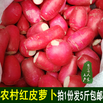 5kg of fresh red skin radish Hunan Huaihua Yuanling local specialty farmers grow vegetables and fruits