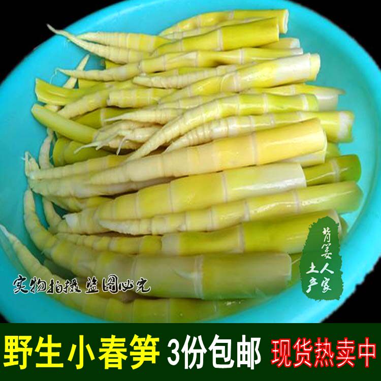 Thundershoots Fresh Winter Shoots Bamboo Shoots bamboo shoots Bamboo Shoots Oil Stew Shoots of Wild Vegetables Spring Shoots in Peasant Wild Vegetables