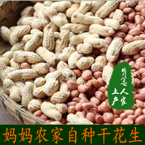 Hunan Huaihua specialty fresh Sun peanut with Shell bulk farm peanut dried with Shell