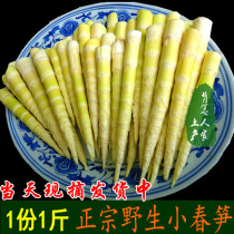 Hunan specialty small bamboo shoots fresh spring bamboo shoots farmhouse Thunder bamboo shoots hot pot bamboo shoots wild dried bamboo shoots dry bamboo shoots tips