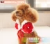 Bánh gạo nhỏ độc quyền quần áo thú cưng Teddy cat dog handmade len? Trung Quốc phong cách ba chiều hoa lớn khăn - Quần áo & phụ kiện thú cưng